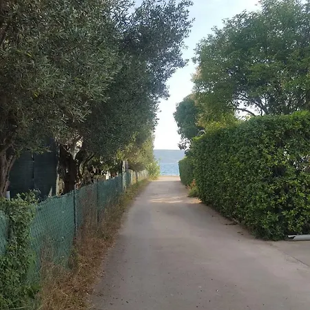 Lavanda * Sveti Petar (Zadar)